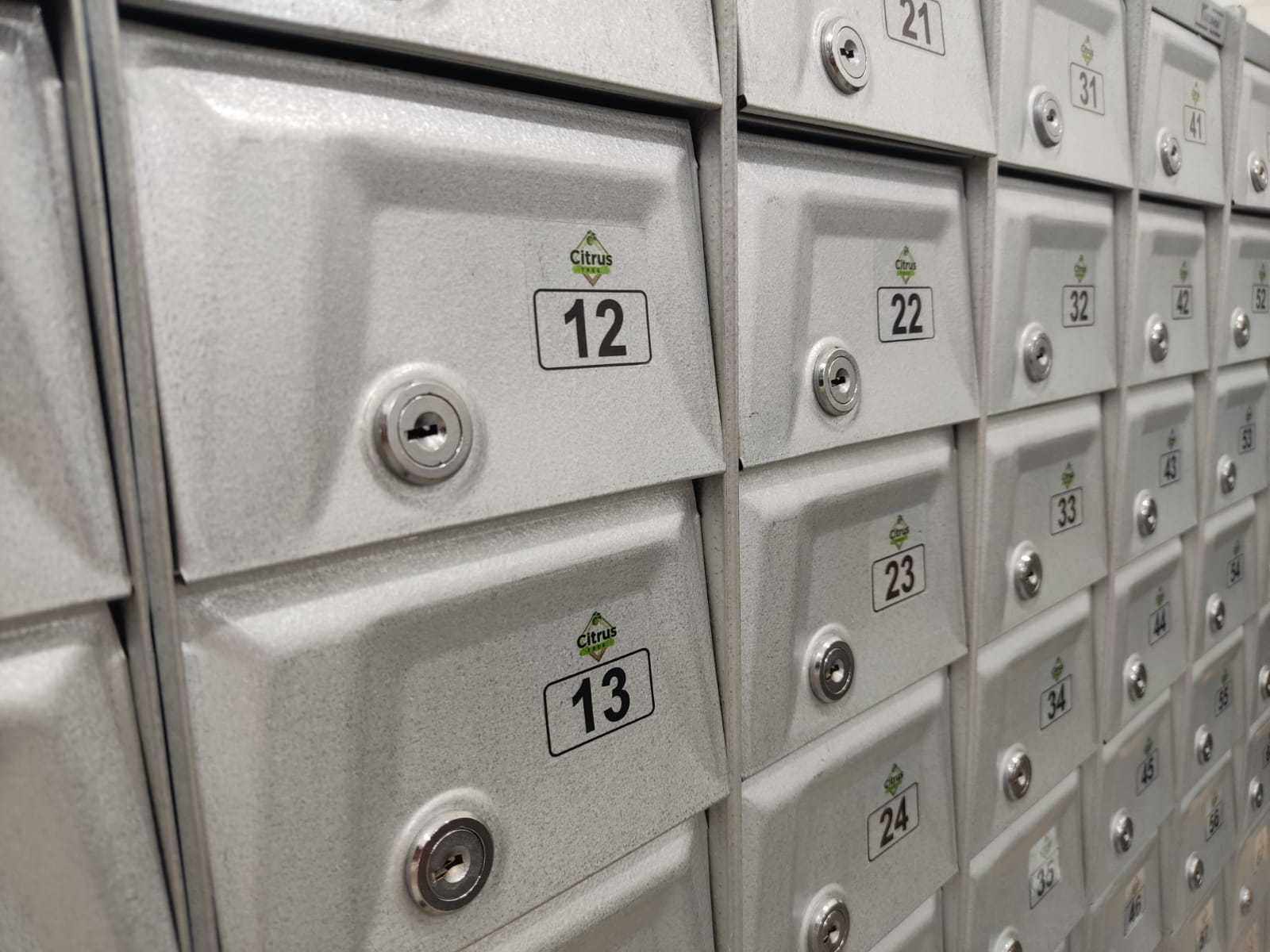 WhatsApp Image 2022-03-30 at 11.41.48 (1).jpeg